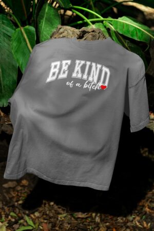 Be Kind - of a bitch T-Shirt